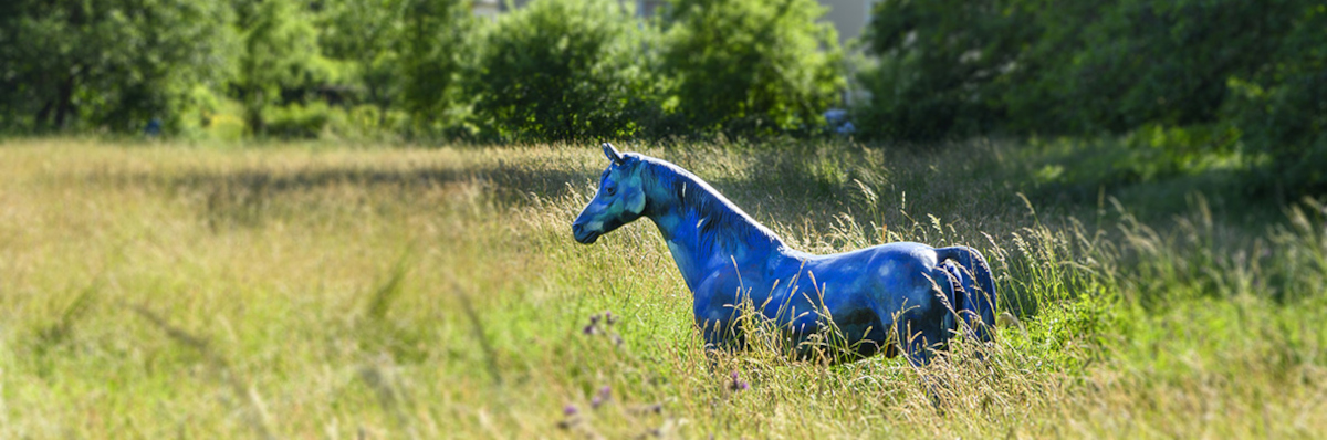 Gemeinde Buch - Blaues Pferd